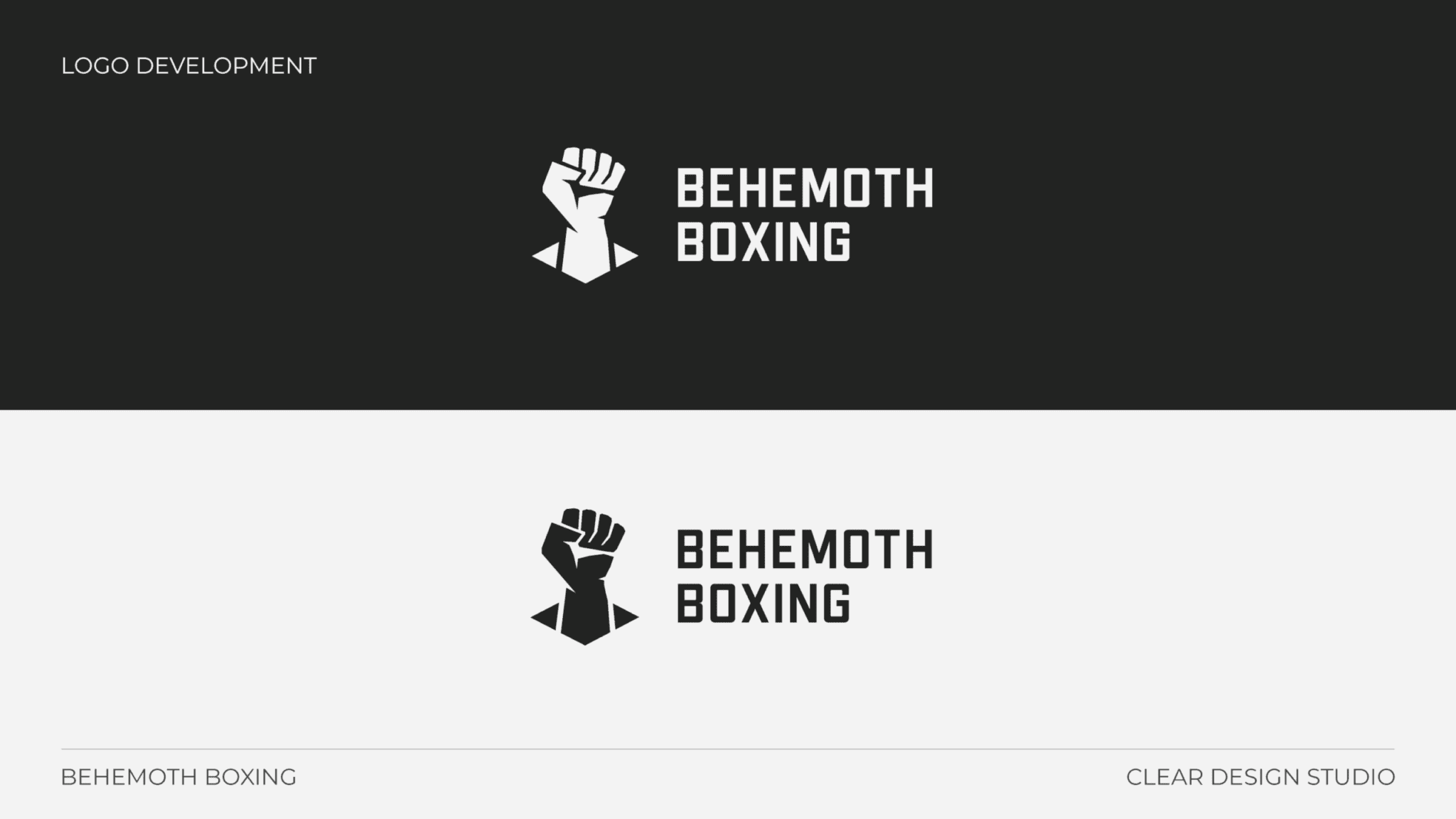 Behemoth Boxing Logo Design Portfolio 6